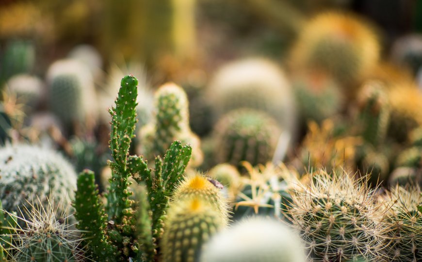 web-1073.jpg web-1073.jpg