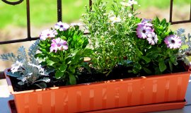 balkonkasten.jpeg balkonkasten.jpeg