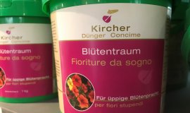 bluetentraum_kircher_1.jpg bluetentraum_kircher_1.jpg