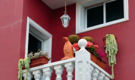 kakteenbalkon.jpeg kakteenbalkon.jpeg