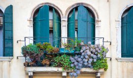 sukkulentenbalkon.jpeg sukkulentenbalkon.jpeg