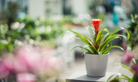 web-1079.jpg web-1079.jpg