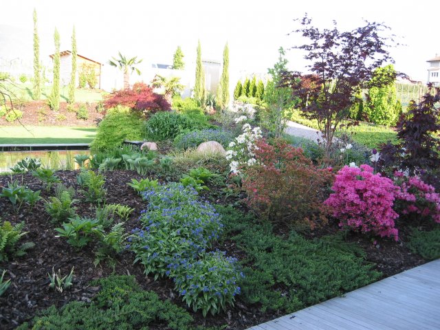 100-0010_img.jpg 100-0010_img.jpg