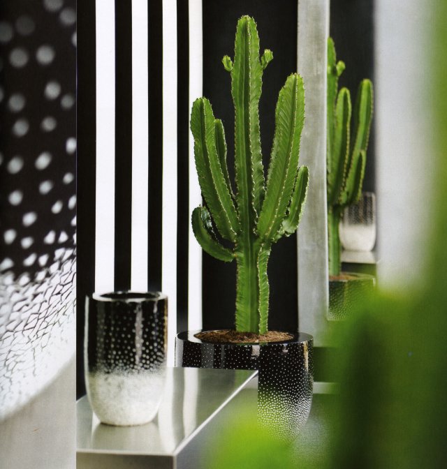 buero4.jpg buero4.jpg