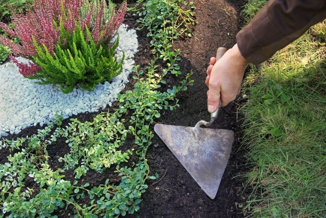 grabpflege.jpeg grabpflege.jpeg