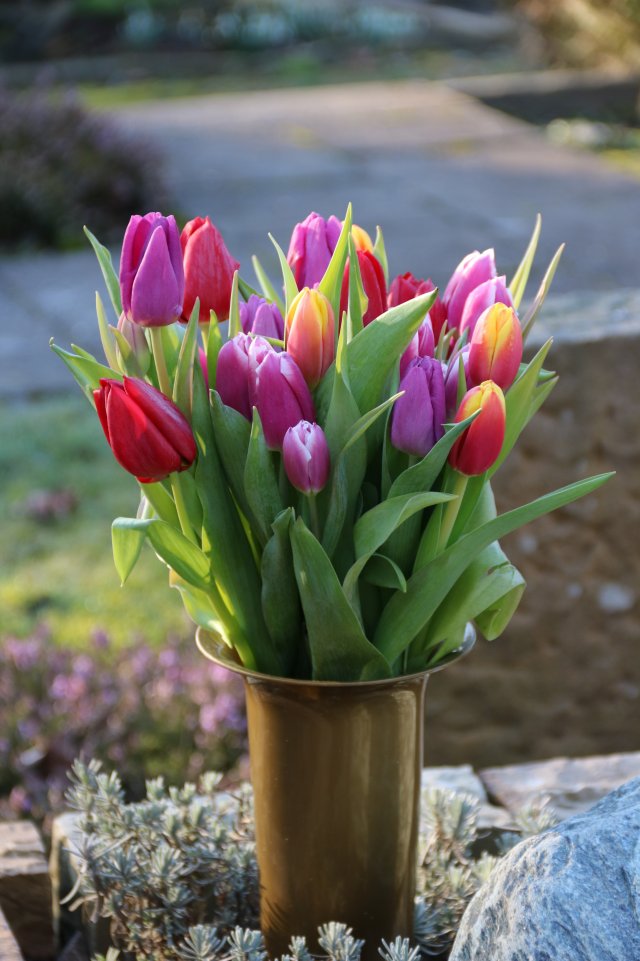 grabstrauss.jpeg grabstrauss.jpeg