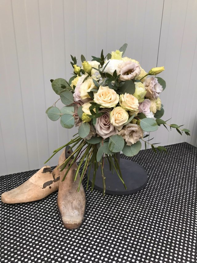 img_8366.jpeg img_8366.jpeg