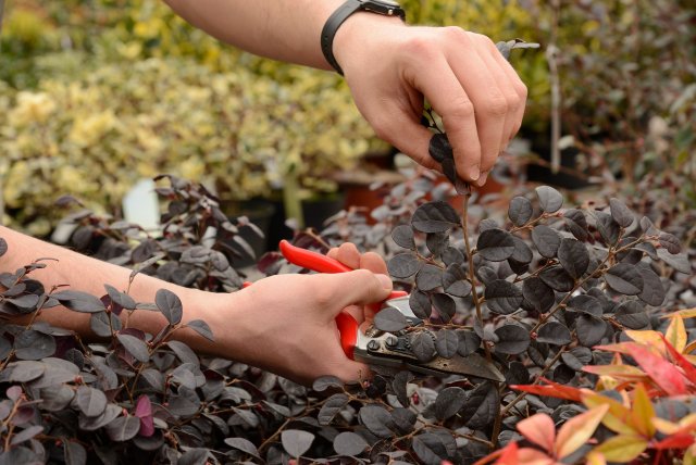 kircher_03_2014_040.jpg kircher_03_2014_040.jpg